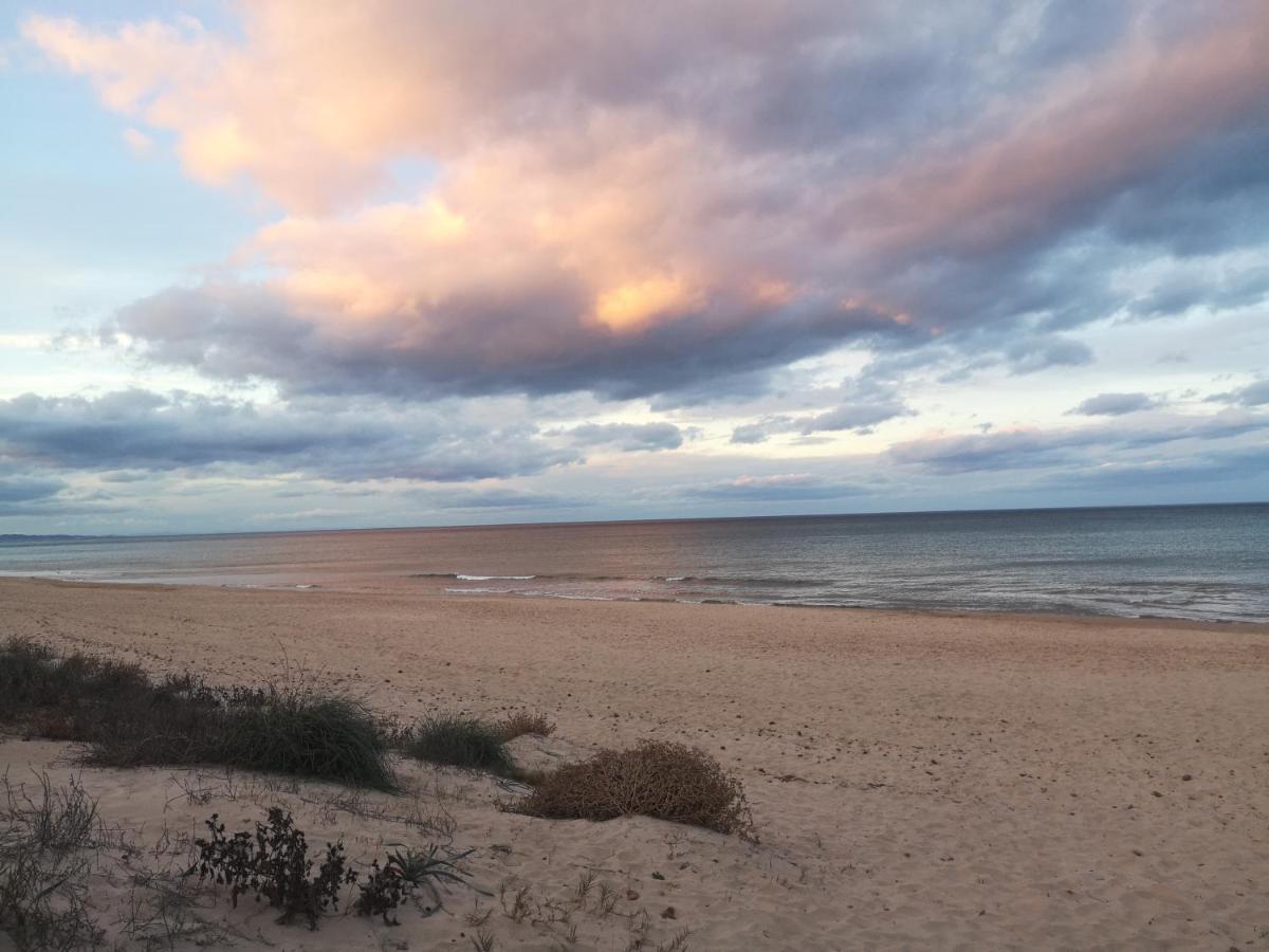 Apartamento Con Vistas Al Mar Oliva Eksteriør billede